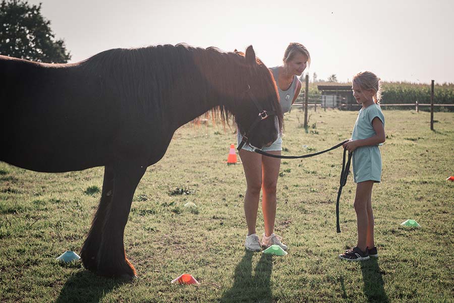 Blyhoef coaching met paarden