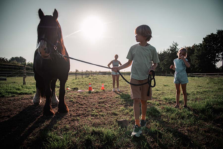 Blyhoef Coaching met paardenc