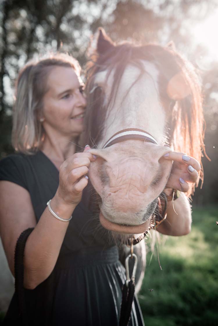 Cranio sacrale therapie voor paarden Blyhoef