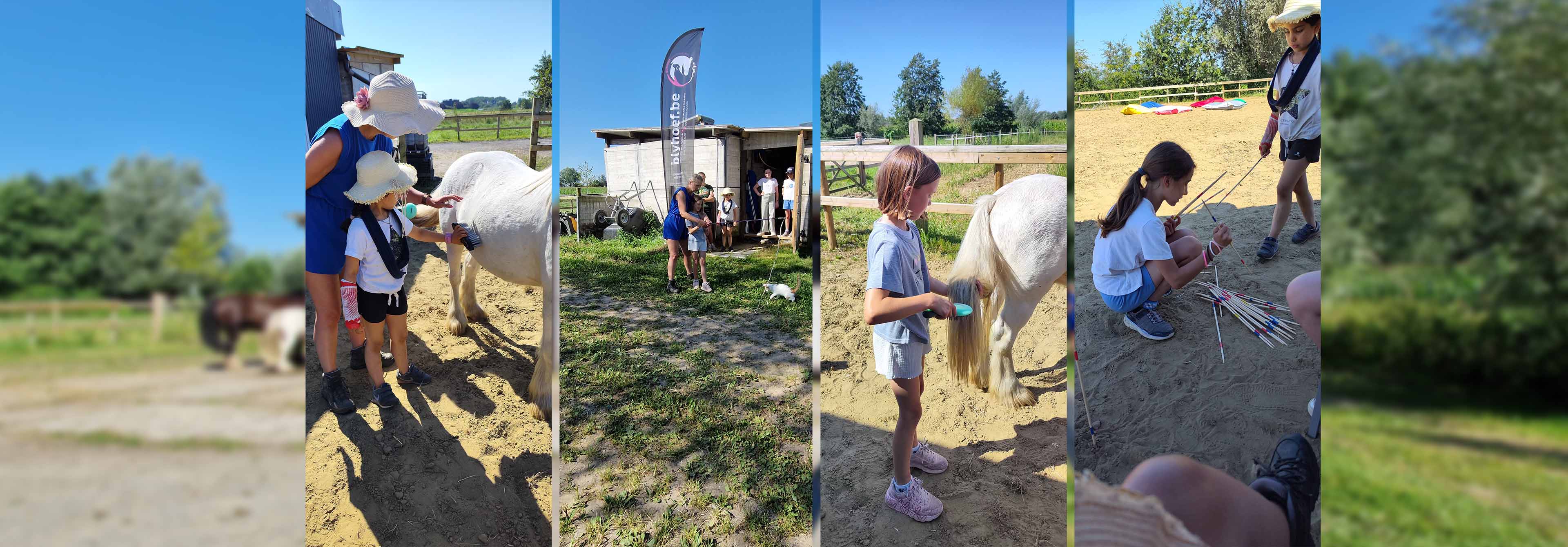 Zomerkamp van Blyhoef (Zele)