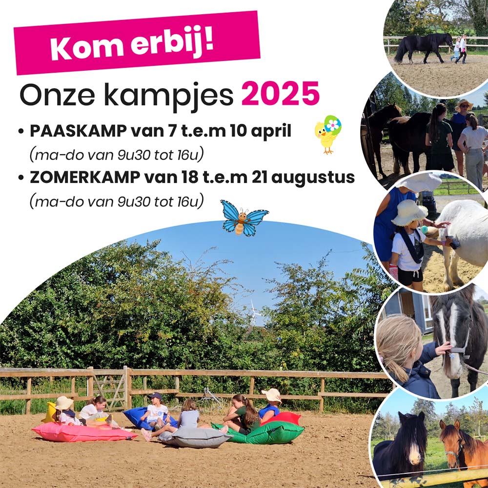 Paas-en zomerkamp 2025