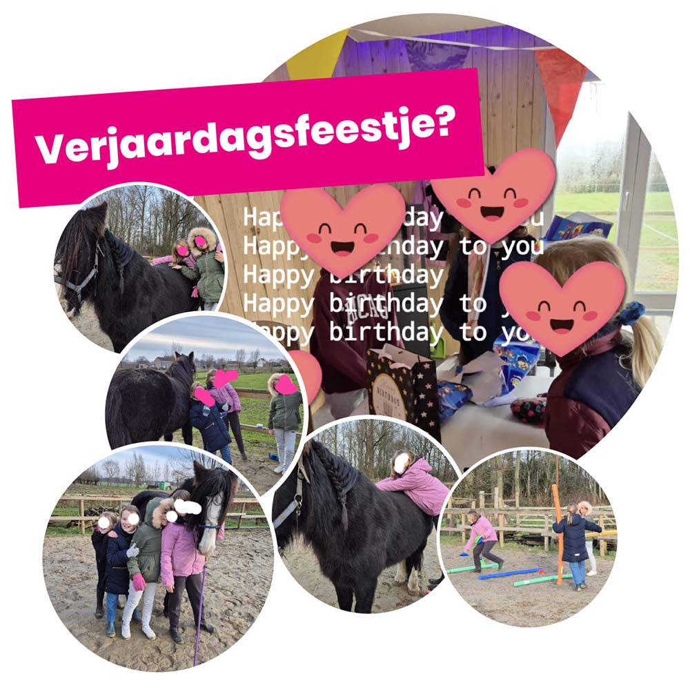 Verjaardagsfeest bij Blyhoef